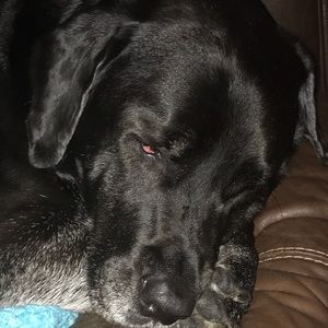 Meet your Posher, Sandra